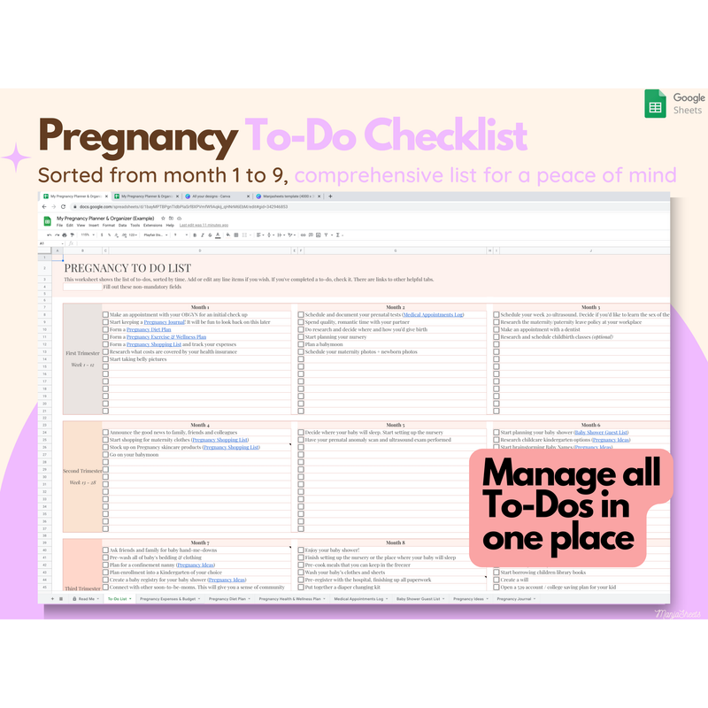 Pregnancy Planner & Journal Google Spreadsheet