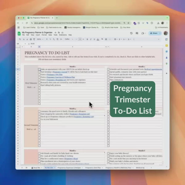 Digital Pregnancy Planner & Journal Excel Sheet